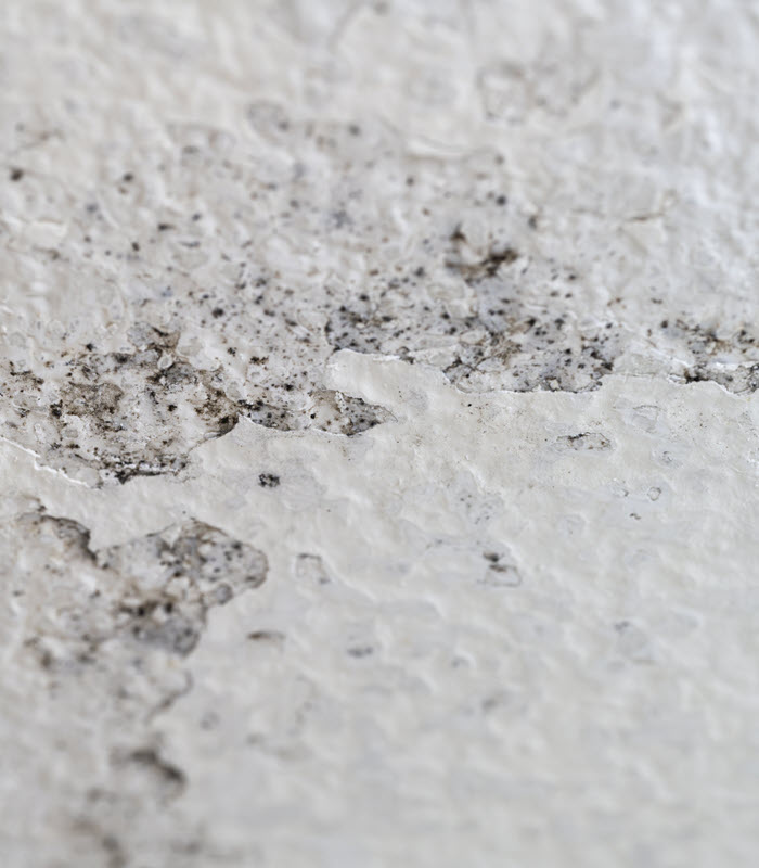 Mold Prevention for Bathrooms - Upper Valley Commercial Cleaning